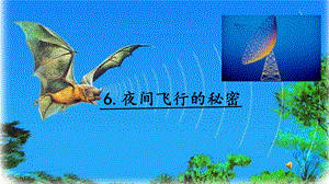 人教部編版四年級上冊語文6夜間飛行的秘密課件.pptx