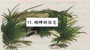 人教部編版四年級上冊語文11蟋蟀的住宅課件.pptx