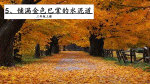 人教部編版三年級上冊語文5鋪滿金色巴掌的水泥道課件.pptx