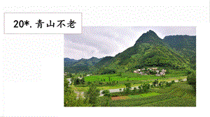 人教部編版六年級上冊語文20青山不老課件.pptx