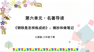 人教部編版八年級下冊語文第六單元名著導讀鋼鐵是怎樣煉成的摘抄和做筆記課件.pptx