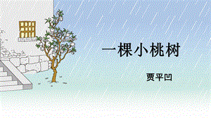 人教部編版七年級下語文19.一棵小桃樹 課件.pptx