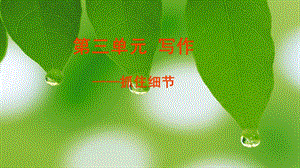 人教部編版七年級下語文第三單元寫作 抓住細節 課件.pptx