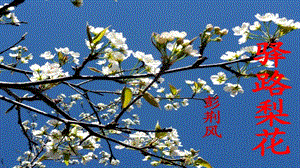 人教部編版七年級下語文15.驛路梨花 課件.pptx