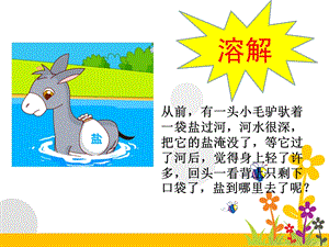 大象版一年級下冊科學(xué)1.3 水能溶解哪些物質(zhì) 課件（11張ppt）.ppt