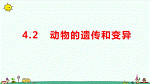 大象版六年級上冊科學4.2動物的遺傳和變異教學課件.pptx