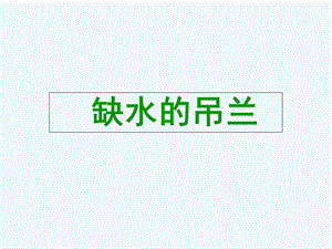 大象版一年級下冊科學2.2《缺水的吊蘭》PPT課件.ppt