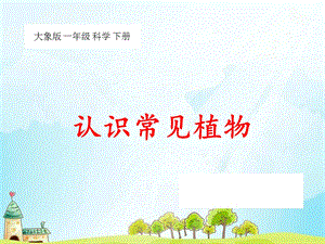 大象版一年級下冊科學2.1 認識常見植物 課件（16張PPT）.ppt