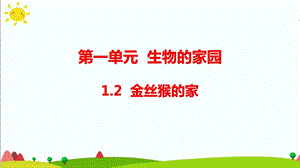 大象版六年級科學下冊 1.2金絲猴的家 課件(共17張PPT 含練習).pptx
