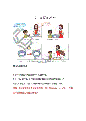 大象版六年級上冊科學1.2發面的秘密知識點.docx
