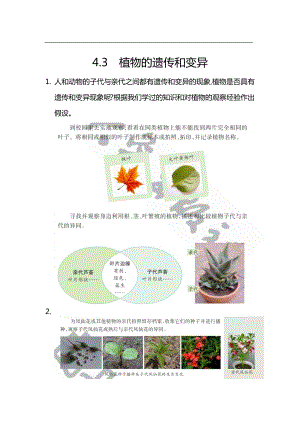 大象版六年級上冊科學4.3.植物的遺傳和變異知識點.docx