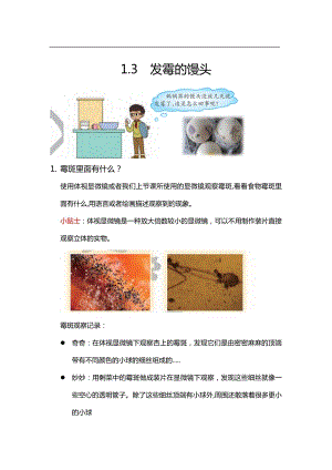 大象版六年級上冊科學(xué)1.3.發(fā)霉的饅頭知識點.docx