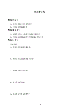 一年級上冊科學學案06 觀察蒲公英 冀人版.docx