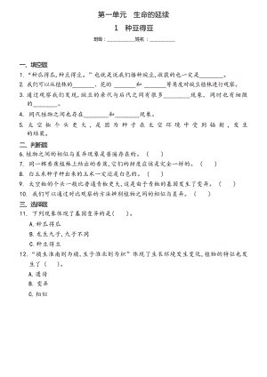 冀人版六年級上冊科學1種豆得豆（同步練習）.docx