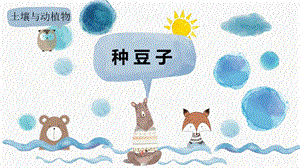 冀人版二年級下冊科學(xué)3.9種豆子課件（16張PPT）課件.pptx