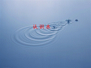 冀人版一年級下冊科學01：認識水丨冀人版28張課件.ppt