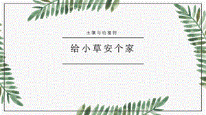 冀人版二年級下冊科學(xué)給小草安個家課件.pptx