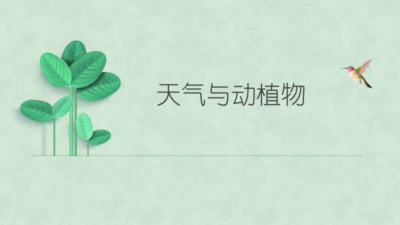冀人版一年級(jí)下冊(cè)科學(xué)10《天氣與動(dòng)植物》課件（16張ppt）+教案.rar