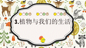 冀人版三年級下冊科學03植物與我們的生活課件（共17張PPT）.pptx