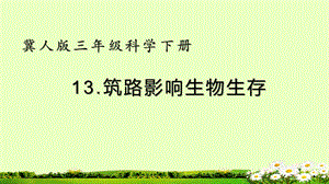 冀人版三年級下冊科學13筑路影響生物生存課件(共16張PPT).pptx