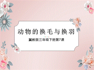 冀人版三年級下冊科學(xué)08動(dòng)物的換毛與換羽課件（共11張）.pptx