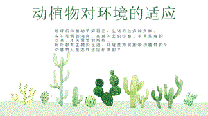冀人版三年級下冊科學06仙人掌與蓮課件（共12張PPT）.pptx