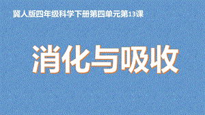 冀人版四年級(jí)下冊(cè)科學(xué)13：《消化與吸收》課件.pptx