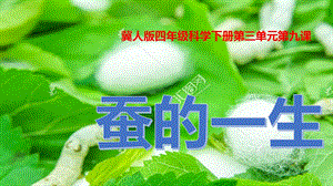 冀人版四年級下冊科學(xué)09：蠶的一生課件.pptx