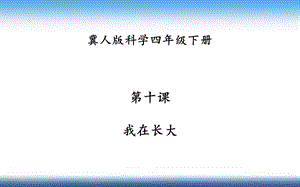 冀人版四年級下冊科學10：我在長大課件.pptx
