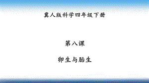 冀人版四年級(jí)下冊(cè)科學(xué)08：卵生與胎生課件24張.pptx