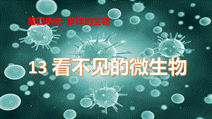 冀人版五年級下冊科學(xué)第13課看不見的微生物課件.pptx