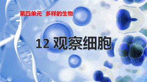 冀人版五年級下冊科學(xué)第12課觀察細(xì)胞課件.pptx