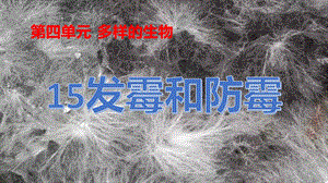 冀人版五年級下冊科學(xué)第15課發(fā)霉和防霉課件.pptx