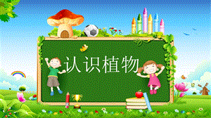 冀人版一年級上冊科學5《認識植物》課件.pptx