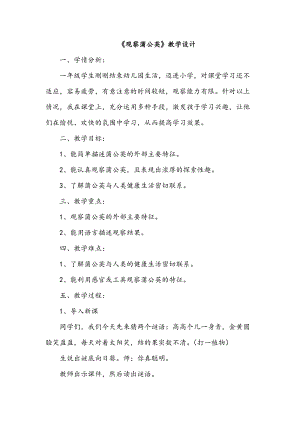 冀人版一年級上冊科學6《觀察蒲公英》 教學設計.doc