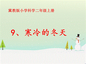 冀人版二年級上冊科學9寒冷的冬天課件.pptx
