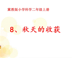 冀人版二年級(jí)上冊(cè)科學(xué)8 秋天的收獲 課件.pptx