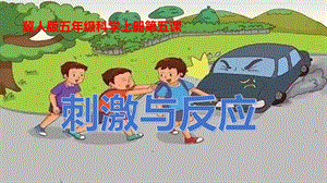 冀人版五年級上冊科學第05課刺激與反應共18張.pptx