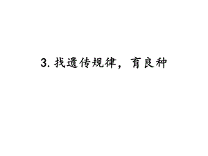 湘科版六年級下冊科學1.3找遺傳規律育良種課件.pptx