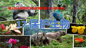 冀人版六年級上冊科學第17課《保護生物》課件.pptx