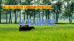 冀人版六年級上冊科學第18課和諧相處課件.pptx