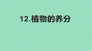 冀人版六年級上冊科學第12課植物的養分課件.pptx