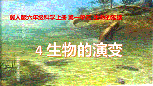 冀人版六年級上冊科學第04課生物的演變課件.pptx