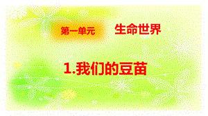 大象版四年級(jí)下冊科學(xué)1.1我們的豆苗-課件.pptx