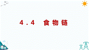 大象版五年級下冊科學4.4食物鏈-課件.pptx