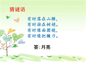 大象版一年級下冊科學3.3多變的月亮-課件.ppt
