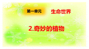大象版四年級(jí)下冊科學(xué)1.2奇妙的植物-課件.pptx