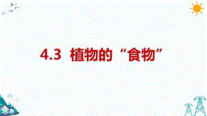大象版五年級下冊科學4.3 植物的“食物”-課件.pptx