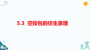 大象版五年級下冊科學5.3空投包的仿生原理-課件.pptx