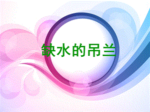 大象版一年級下冊科學2.2缺水的吊蘭-課件.ppt
